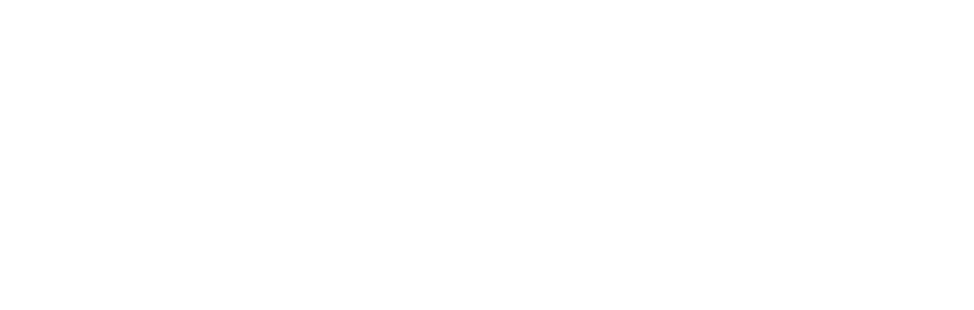 BelkaVPN logo light