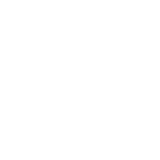 BelkaVPN symbol light